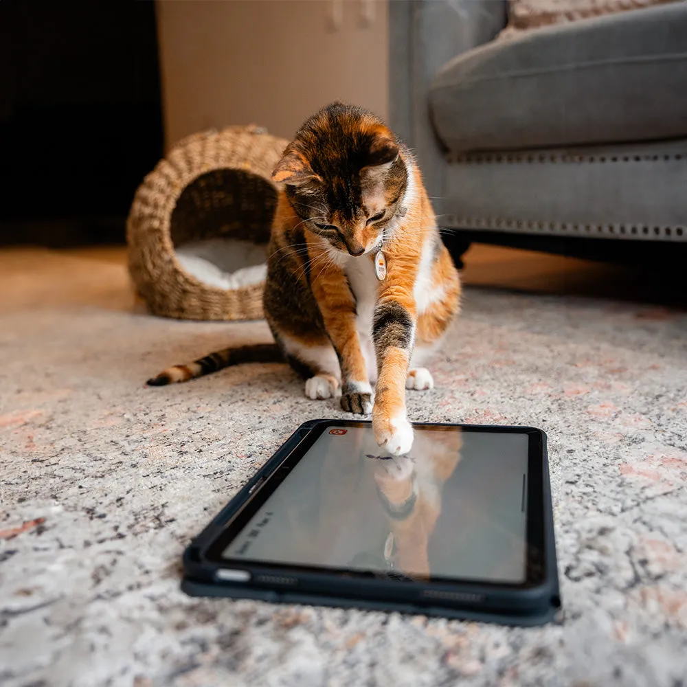 GlassGuard NCO temperate para iPad - Image 9